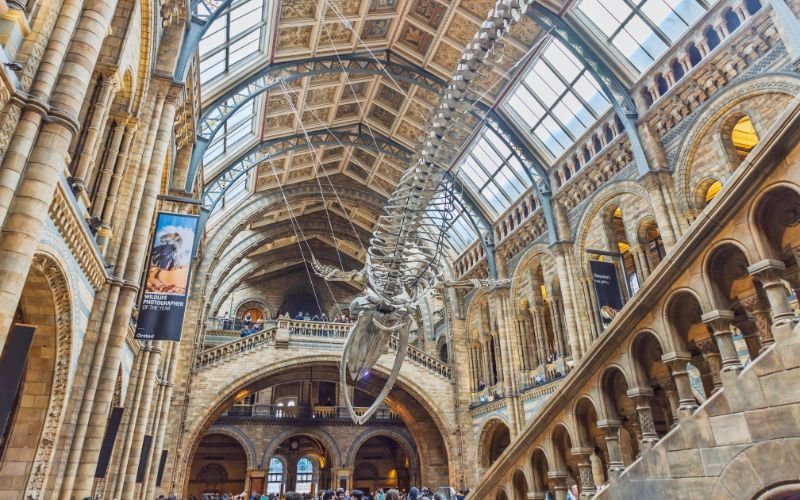 Read more about the article Complete Guide to London’s FREE Museums