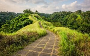 Read more about the article Exploring Campuhan Ridge Walk: Ubud’s Most Beautiful (and Free) Hike