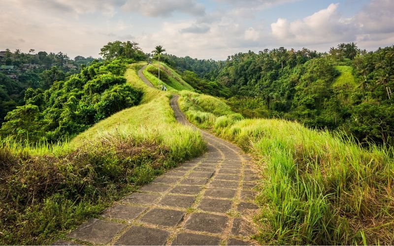 Read more about the article Exploring Campuhan Ridge Walk: Ubud’s Most Beautiful (and Free) Hike