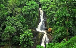Read more about the article Hidden Free Waterfalls Near Ubud: Directions, Tips, and What to Expect
