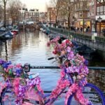 Budget Accommodation in Amsterdam: The Best Areas for Affordable Stays