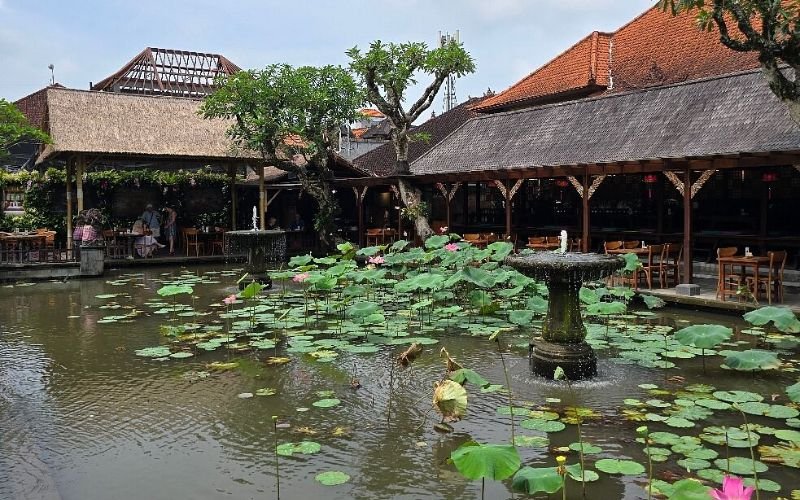 beautiful lotus leaves and pink flowers floating in a lake with a water fountain in the middle surrounded by a cafe with a thatched roof and chairs and tables that look onto the lake