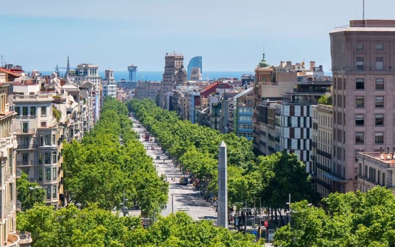 wide avenue with rows of green trees with a road in the middle that is surrounded by historic buildings with the sea in the far distance