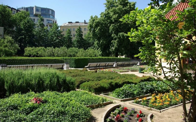 manicured gardens with lots of green hedging and big trees surrounding it