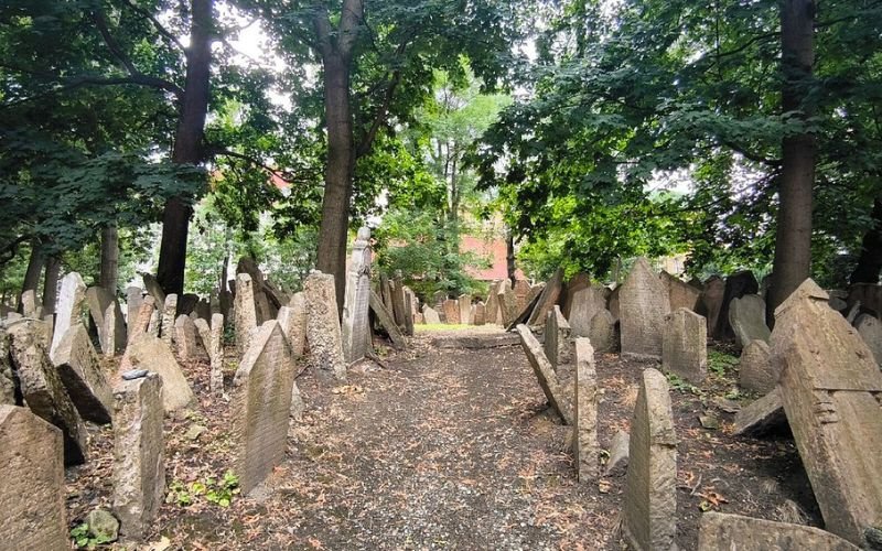 stone headstones at a Jewish Cemetary with a dirt walkway through the middle and green tall trees surrounding it