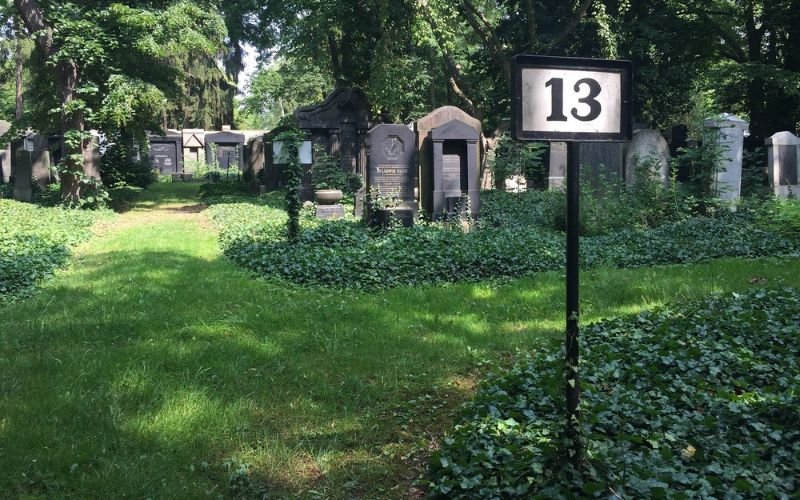 slightly unkept green grass with headstones sprinkled around and large trees