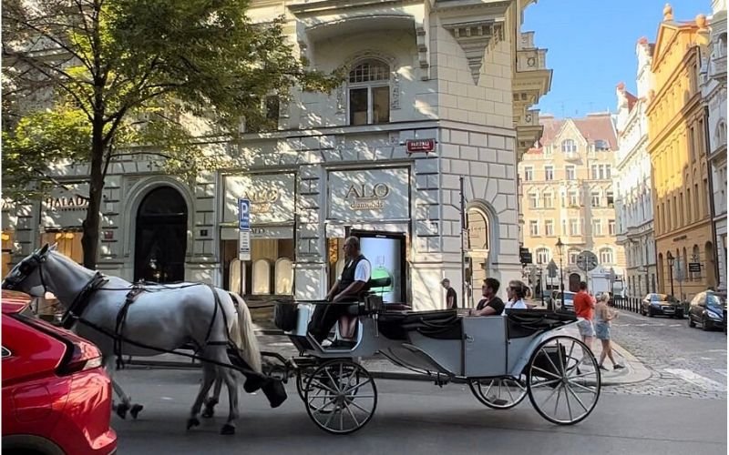 horse drawn carriage with a historic building made of sandstone with archways in the background and cobblestone street