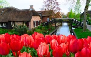 Read more about the article Amsterdam to Giethoorn Day Trip – A Complete First‑Timer’s Guide