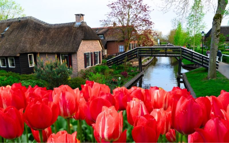 You are currently viewing Amsterdam to Giethoorn Day Trip – A Complete First‑Timer’s Guide