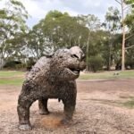 Naracoorte’s Hidden Free Gems — Limestone Coast Edition