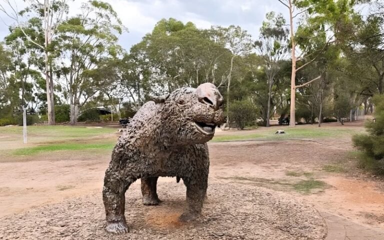Naracoorte’s Hidden Free Gems — Limestone Coast Edition