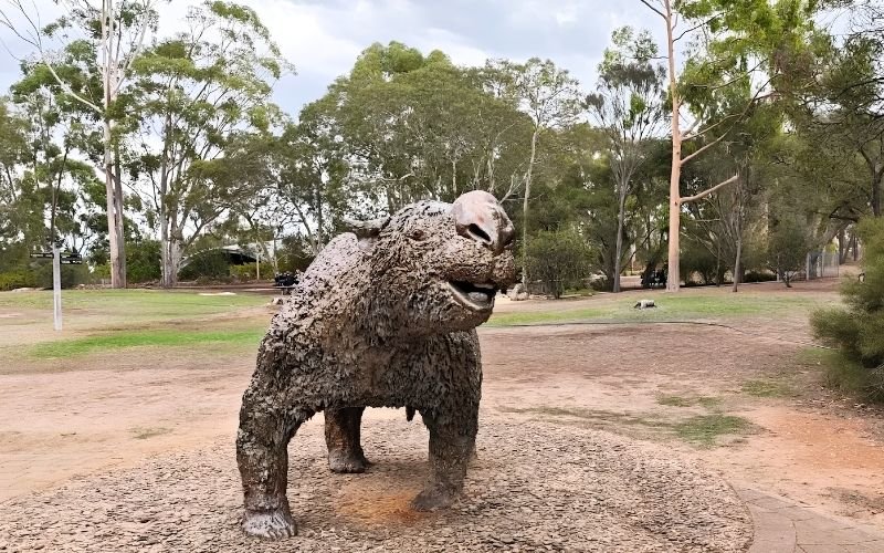 You are currently viewing Naracoorte’s Hidden Free Gems — Limestone Coast Edition